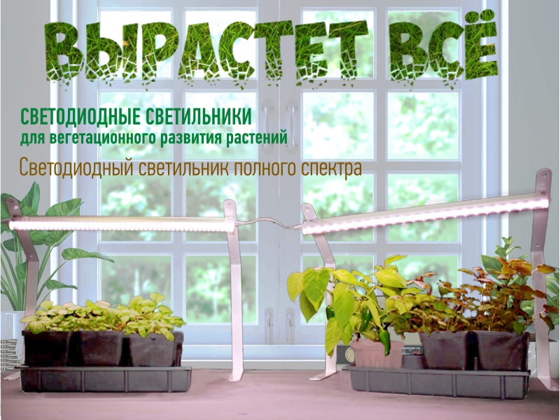 Fito светильники